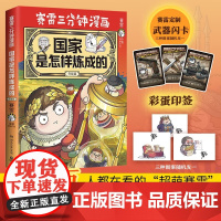 国家是怎样炼成的 升级版 赛雷 著 动漫