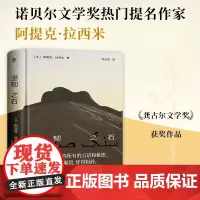 坚韧之石 阿提克·拉希米 著 外国文学