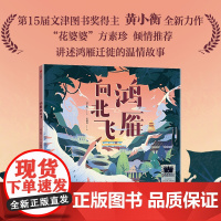 鸿雁向北飞 3-8岁 黄小衡著 由南到北看中国 长途旅行 团员故事 爱的力量 故乡的意义 自然生命教育绘本
