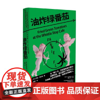油炸绿番茄 范妮·弗拉格 著 小说