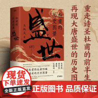 杜甫的历史图景 盛世 王炳文 著 传记