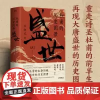 杜甫的历史图景 盛世 王炳文 著 传记
