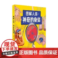 图解人体 神奇的身体 汉竹 编著 科普百科