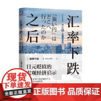 汇率下跌之后 唐镰大辅 著 经济