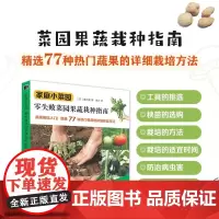 家庭小菜园 藤田智 著 家居