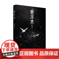 悬浮术 陈崇正 著 小说