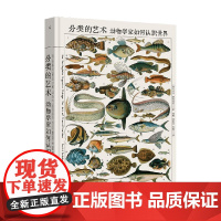 分类的艺术 大卫·班布里奇 著 科普读物