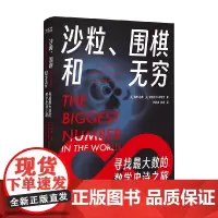 沙粒 围棋和无穷 戴维·达林等 著 科普读物