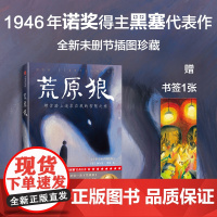 荒原狼 赫尔曼·黑塞 著 文学