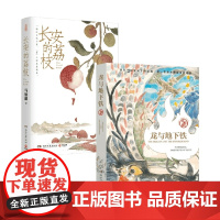 龙与地下铁+长安的荔枝 马伯庸 著 小说