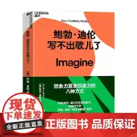 鲍勃 迪伦写不出歌儿了 乔纳·莱勒 著 心理学