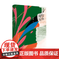 仅你可见 巫昂 著 散文
