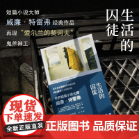生活的囚徒 威廉·特雷弗 著 小说
