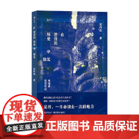 在湮没的历史中微笑 柬埔寨吴哥访古 张炜晨 著 文化