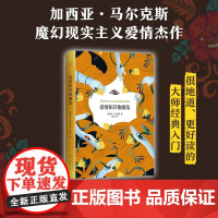 爱情和其他魔鬼 加西亚·马尔克斯 著 小说