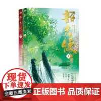 韶光慢 冬天的柳叶 著 青春文学