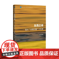 东西之间 昝涛 著 历史