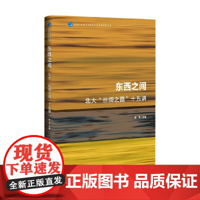 东西之间 昝涛 著 历史