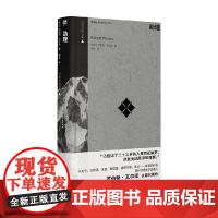 助理 罗伯特·瓦尔泽 著 小说