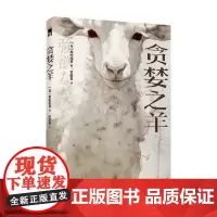 贪婪之羊 美轮和音 著 小说