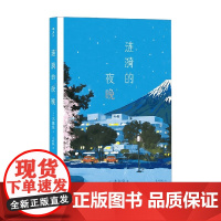 涟漪的夜晚 木皿泉 著 小说