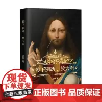 停下别动 放大看 吕宸 著 艺术