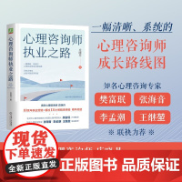心理咨询师执业之路 庄晓丹 著 心理学