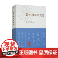 梁启超美学文选 梁启超 著 散杂文