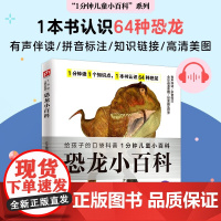平装小百科 恐龙小百科 3-10岁 介于童书 著 科普百科