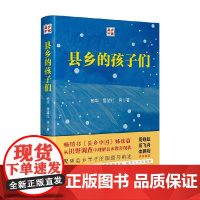 县乡的孩子们 杨华 著 县乡中国姊妹篇 中国县域治理现代化 提高工作能力 县乡治理逻辑与实践社会学 社会学