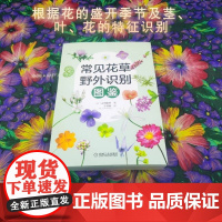 常见花草野外识别图鉴 山田隆彦 著 科普读物