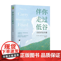 伴你走过低谷 悲伤疗愈手册 梅根·迪瓦恩 著 心理学