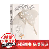 林清玄清欢三卷 境明 千里皆明 林清玄 著 文学