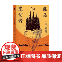 孤岛的来访者 方丈贵惠 著 小说