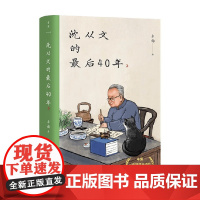 沈从文的最后40年 李扬 著 传记
