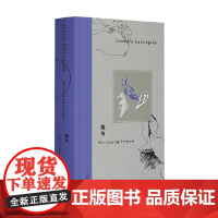 魔角 莉奥诺拉 卡林顿长篇代表作 莉奥诺拉·卡林顿 著 小说
