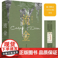 流金 唐隐 著 中国当代小说