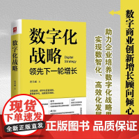 数字化战略 领先下一轮增长 唐兴通 著 经济