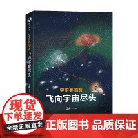 宇宙奥德赛 飞向宇宙尽头 王爽 著 科普读物