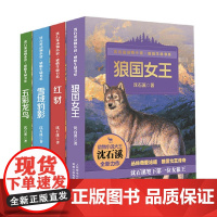 沈石溪动物小说感悟生命书系 11-14岁 沈石溪 著 儿童文学