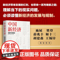 中国新经济 创新与规则 吴小亮等 著 中国经济