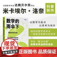 数学的雨伞下理解世界的乐趣 米卡埃尔·洛奈 著 数理化