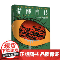 骷髅自传 西吉茨蒙德·科尔扎诺夫斯基 著 小说