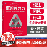 框架领导力 乔·欧文 著 管理