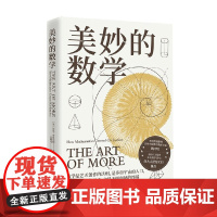 美妙的数学 迈克·布鲁克斯 著 科普读物