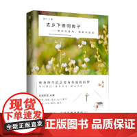 去乡下盖间房子 朱子一 著 文学