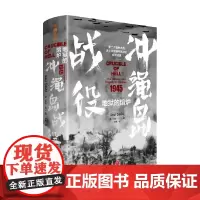 地狱的熔炉 冲绳岛战役 索尔·大卫 著 历史
