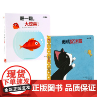 诺瑞捉迷藏+翻一翻 大惊喜 0-3岁 奥格尼兹·巴鲁兹 等著 幼儿启蒙