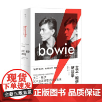 大卫 鲍伊访谈录 肖恩·伊根 编著 传记