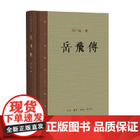 岳飞传 邓广铭 著 传记